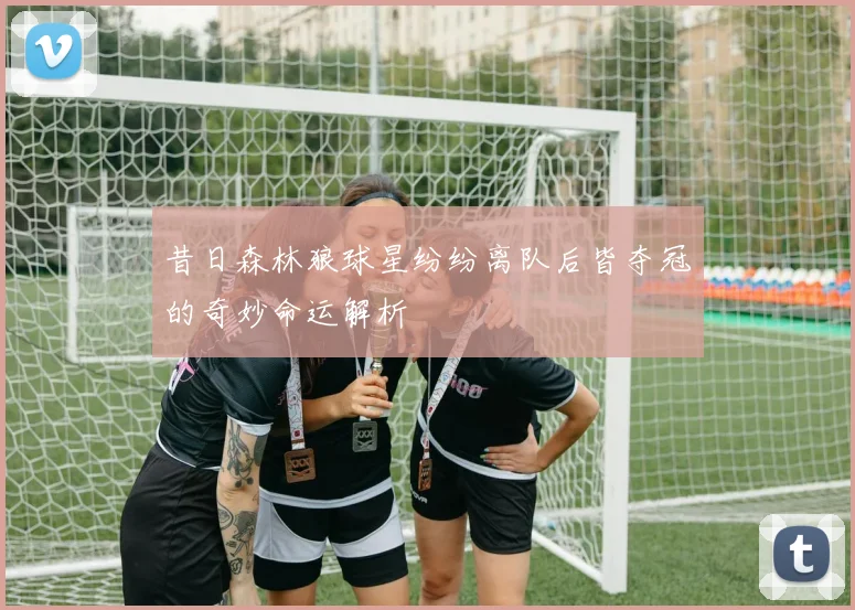 昔日森林狼球星纷纷离队后皆夺冠的奇妙命运解析